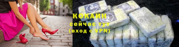 индика Аркадак