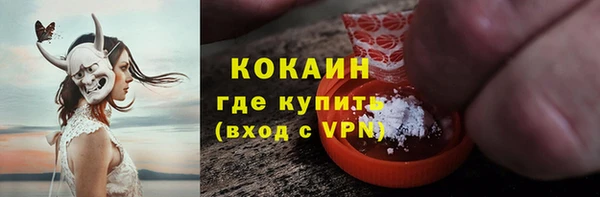 индика Аркадак