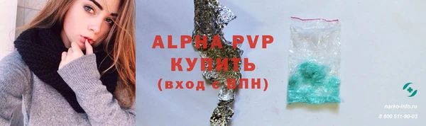 индика Аркадак