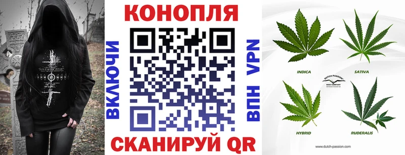 Шишки марихуана марихуана  ОМГ ОМГ ССЫЛКА  Серов 